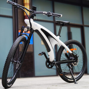 Electra Everest