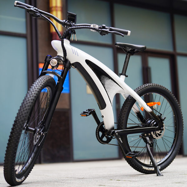 Electra Everest